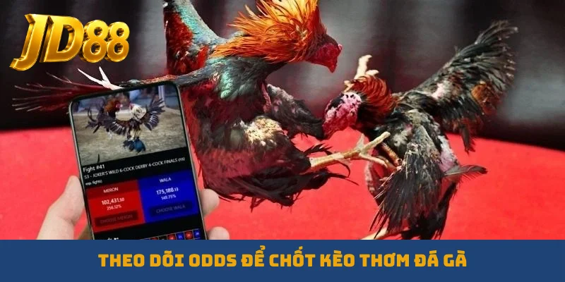 Theo dõi odds để chốt kèo thơm đá gà