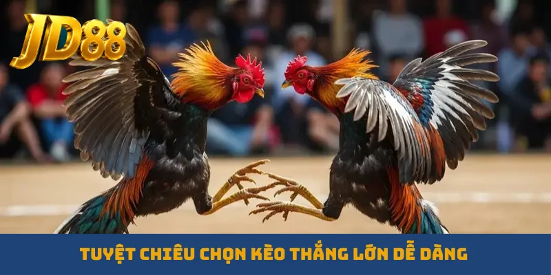 Tuyệt chiêu chọn kèo thắng lớn dễ dàng